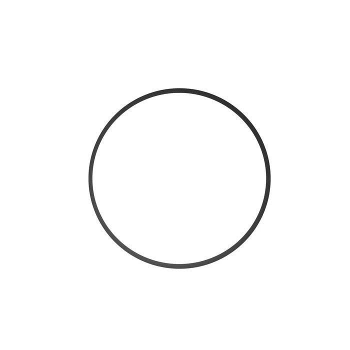 Ikelite O-Ring 0132.36 for DLM Port System, DS161, DS160, DS125 Battery Pack Ikelite O-Ring 0132.36 for DLM Port System, DS161, DS160, DS125 Battery Pack